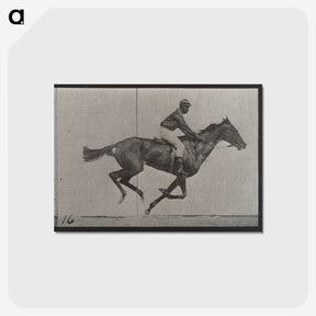 2-49_Eadweard-Muybridge_postcard