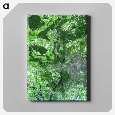 2-49_Earth-from-Above_canvas
