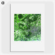 2-49_Earth-from-Above_picture