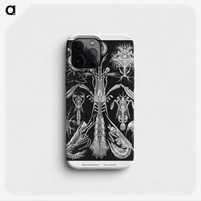 2-49_Ernst-Haeckel_phone