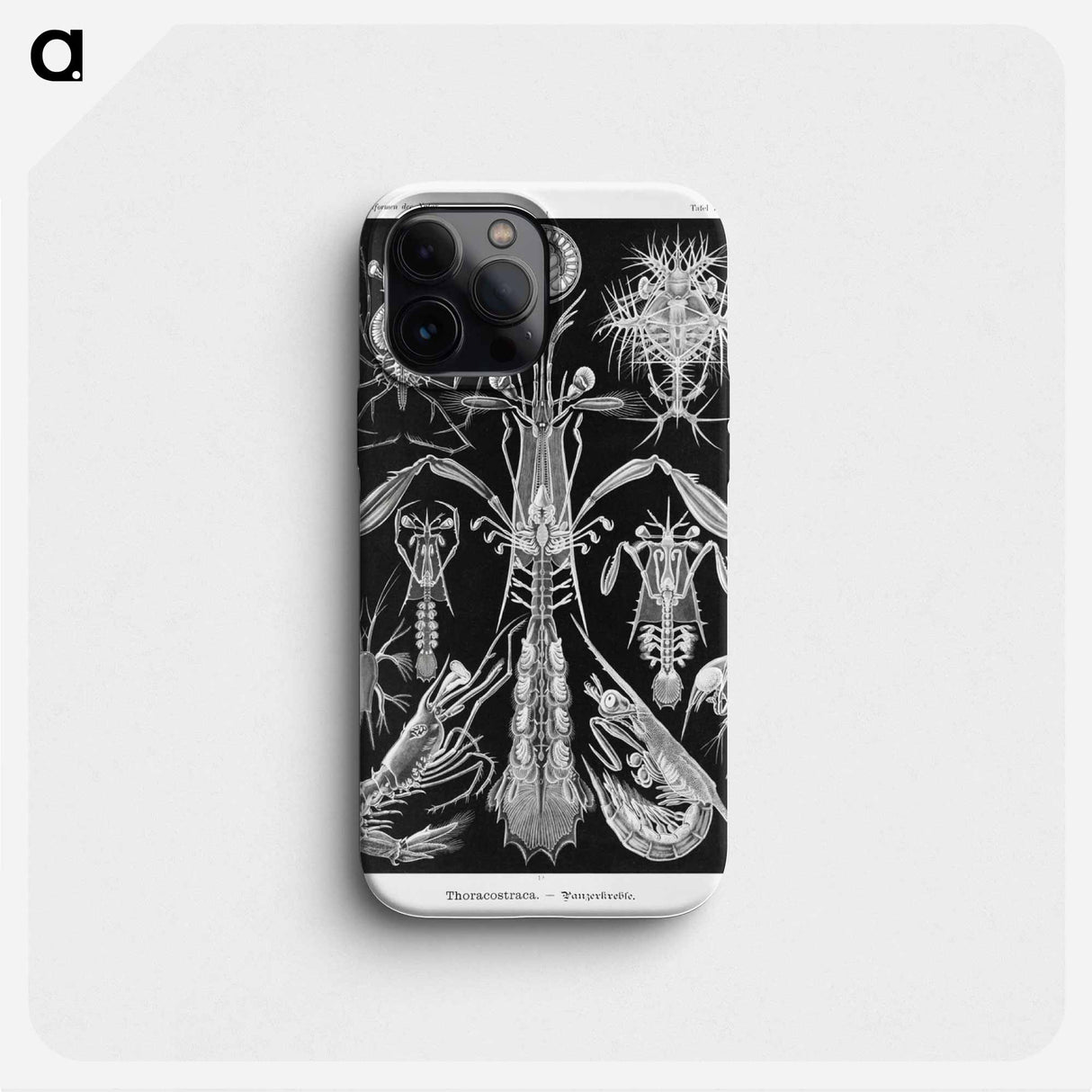 Thoracostraca–Panzerkrebse - エルンスト ヘッケル Phone Case.