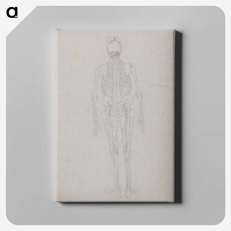 2-49_George-Stubbs_canvas