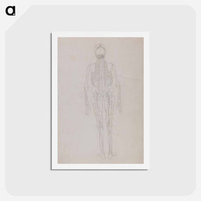 アートポストカード-Human Figure, Posterior View
 - ジョージ スタッブス Postcard.