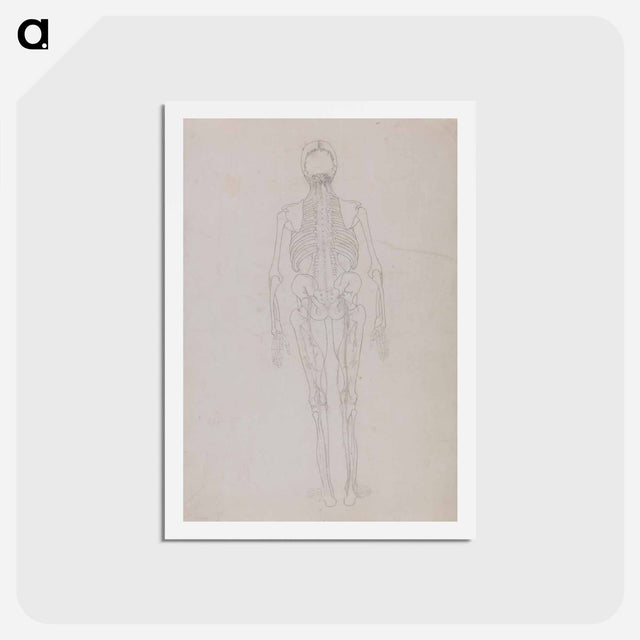 アートポストカード-Human Figure, Posterior View
 - ジョージ スタッブス Postcard.