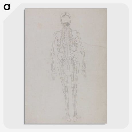 2-49_George-Stubbs_picture-crop