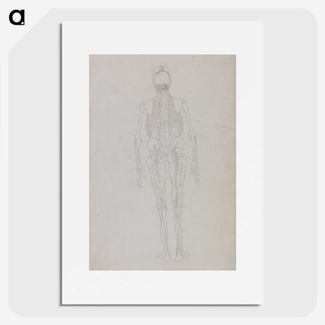 2-49_George-Stubbs_picture