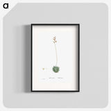 2-49_Histoire-des-Plantes-Grasses_blk