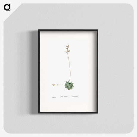 2-49_Histoire-des-Plantes-Grasses_blk