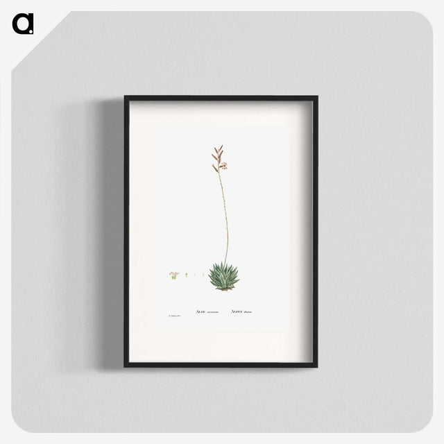 2-49_Histoire-des-Plantes-Grasses_blk