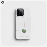 2-49_Histoire-des-Plantes-Grasses_phone
