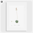 2-49_Histoire-des-Plantes-Grasses_picture