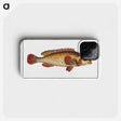 2-49_Ichtyologie-ou-Histoire-naturelle_phone