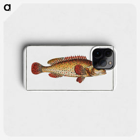 2-49_Ichtyologie-ou-Histoire-naturelle_phone