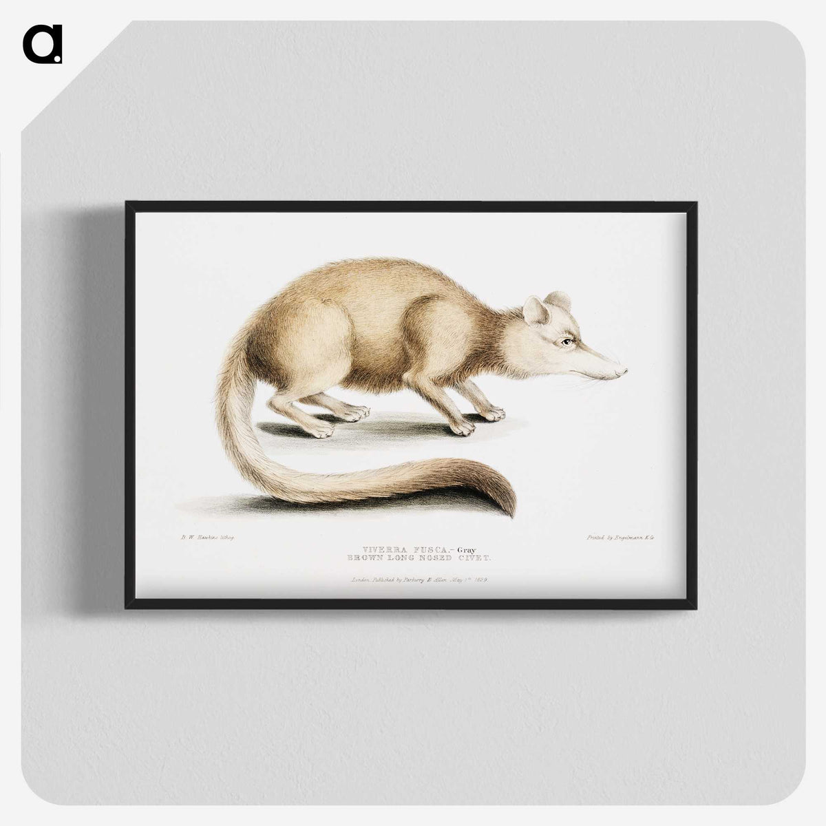 2-49_Indian-Zoology_blk-crop