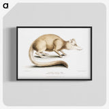2-49_Indian-Zoology_blk-crop
