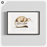 2-49_Indian-Zoology_blk