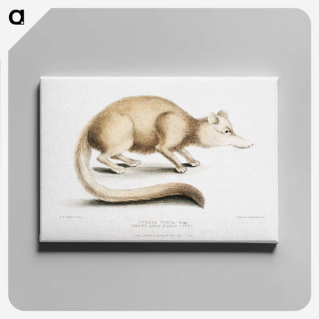 2-49_Indian-Zoology_canvas