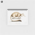2-49_Indian-Zoology_memo