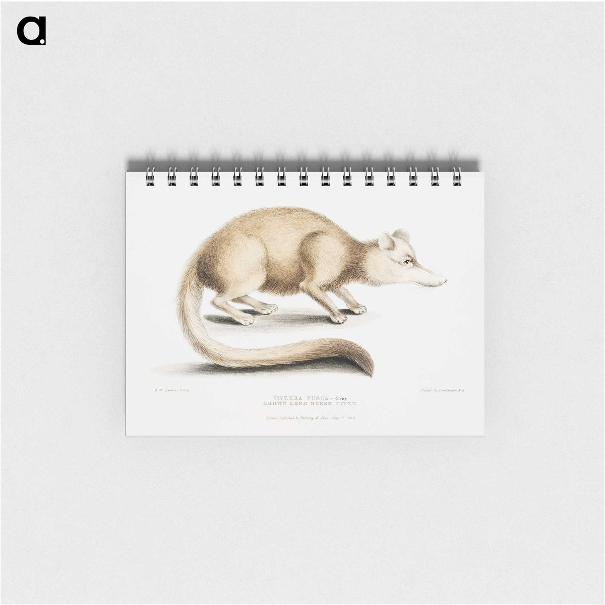 2-49_Indian-Zoology_memo