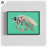 2-49_Insects-Unlocked-Project_blk-crop