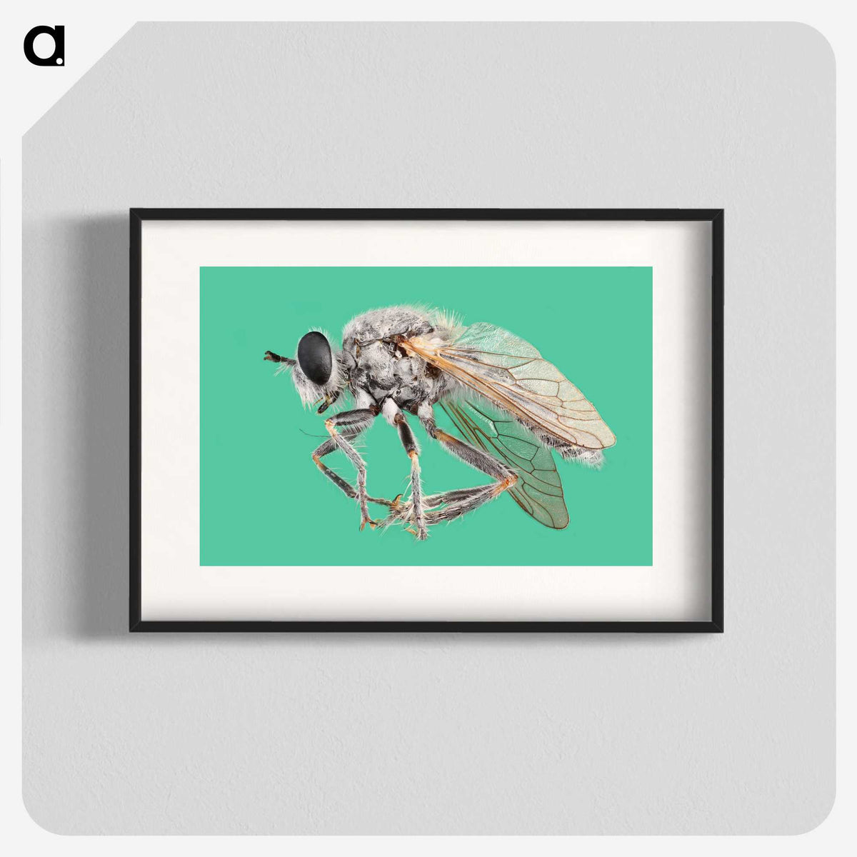 2-49_Insects-Unlocked-Project_blk