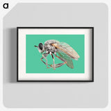 2-49_Insects-Unlocked-Project_blk