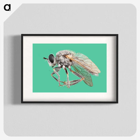 2-49_Insects-Unlocked-Project_blk