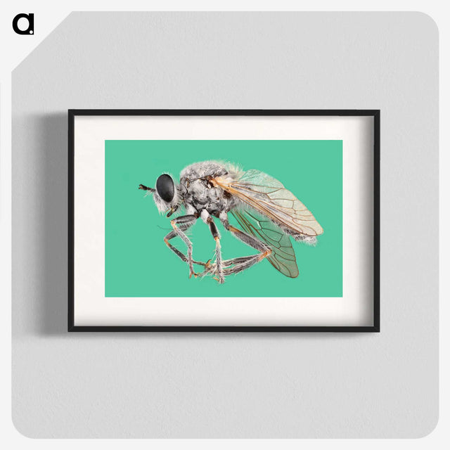 2-49_Insects-Unlocked-Project_blk