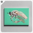 2-49_Insects-Unlocked-Project_canvas