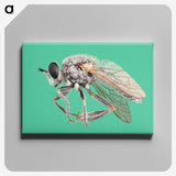 2-49_Insects-Unlocked-Project_canvas