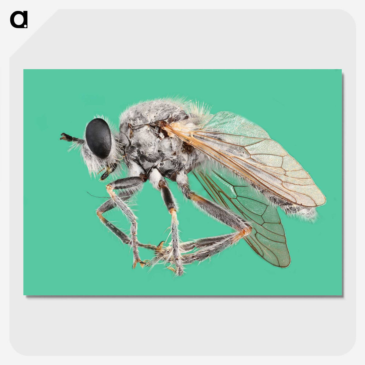 2-49_Insects-Unlocked-Project_picture-crop