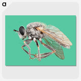 2-49_Insects-Unlocked-Project_picture-crop