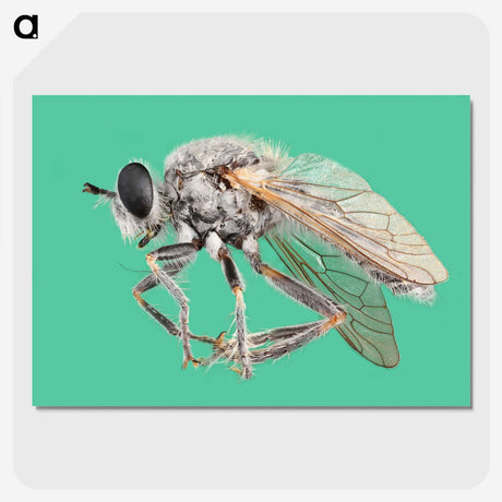 2-49_Insects-Unlocked-Project_picture-crop