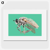 2-49_Insects-Unlocked-Project_picture