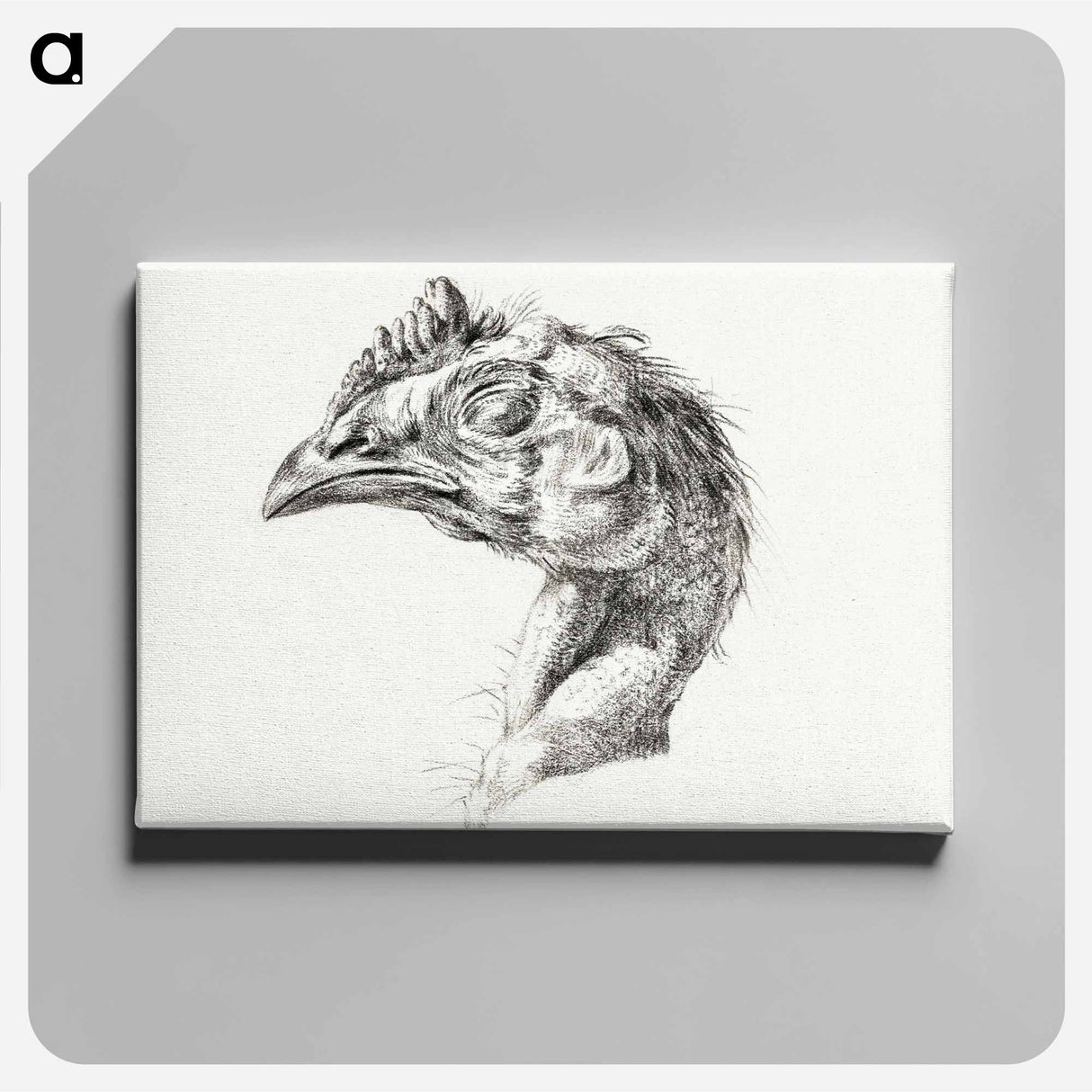 アートパネル-Head of a dead chicken - ジャン ベルナール Canvas.
