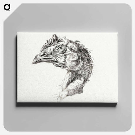 アートパネル-Head of a dead chicken - ジャン ベルナール Canvas.