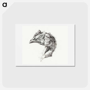 アートポストカード-Head of a dead chicken - ジャン ベルナール Postcard.