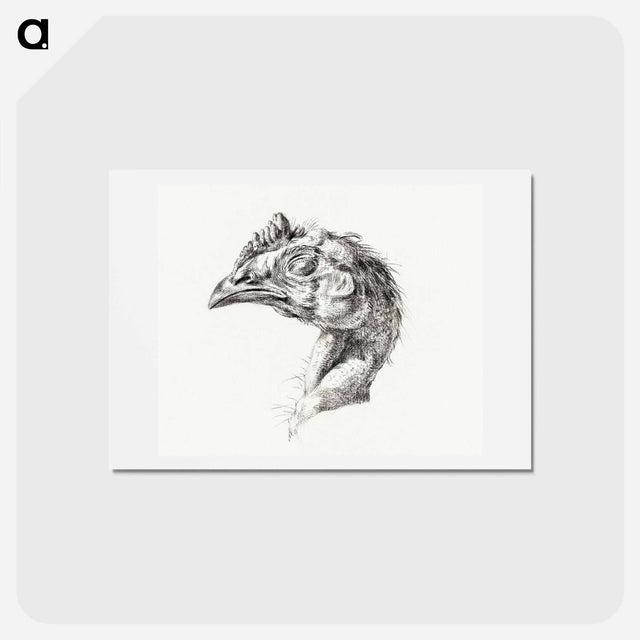 アートポストカード-Head of a dead chicken - ジャン ベルナール Postcard.