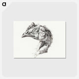 アートポストカード-Head of a dead chicken - ジャン ベルナール Postcard.