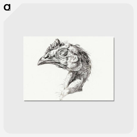 アートポストカード-Head of a dead chicken - ジャン ベルナール Postcard.