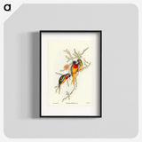 2-49_John-Gould_blk