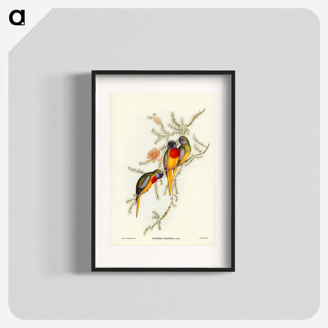 2-49_John-Gould_blk