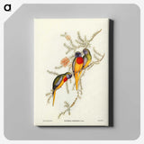 2-49_John-Gould_canvas