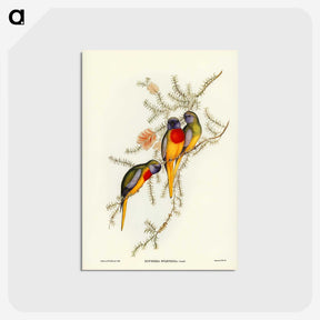 2-49_John-Gould_postcard