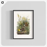 2-49_John-James-Audubon_blk
