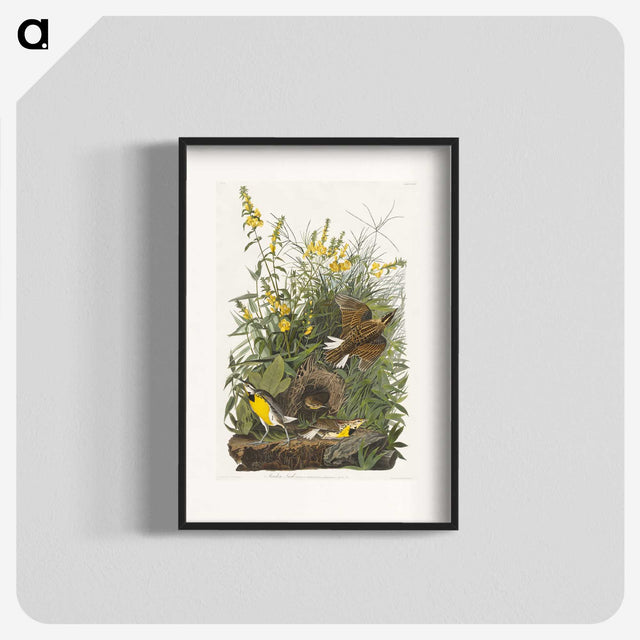 2-49_John-James-Audubon_blk