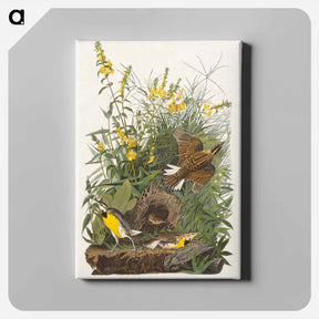 アートパネル-Meadow Lark
 - ジョン ジェームス オーデュボン Canvas.