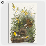 2-49_John-James-Audubon_picture-crop