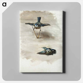 アートパネル-Studies of a Dead Bird - ジョン シンガー サージェント Canvas.