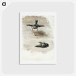 アートポストカード-Studies of a Dead Bird - ジョン シンガー サージェント Postcard.
